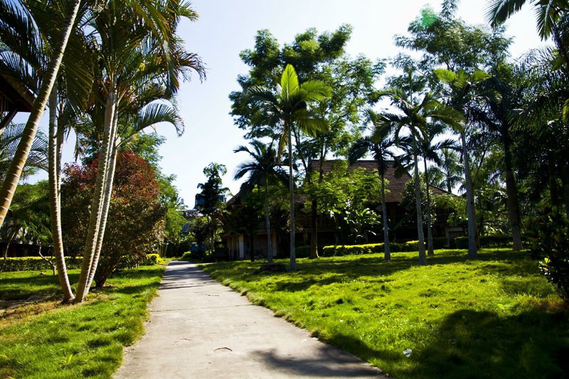 ????(西雙版納)? ?? ???? '?????(熱帶植物園)'
