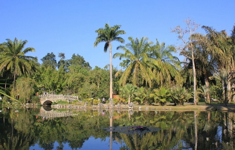 ????(西雙版納)? ?? ???? '?????(熱帶植物園)'