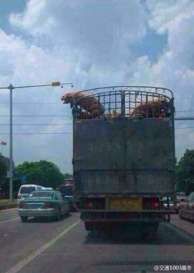 ??? ??? “??? ??? ??? ??? ??!”