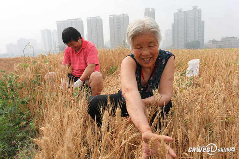 ??? ? ? ??? ???…??? ?? ??