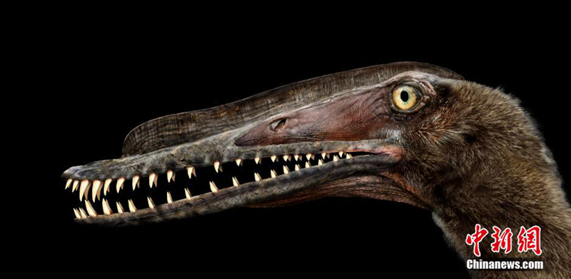 ??? ? ?? ?? ??? ? ?? ?? ?? ??