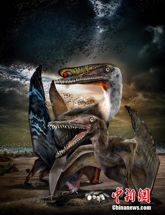 ??? ? ?? ?? ??? ? ?? ?? ?? ??