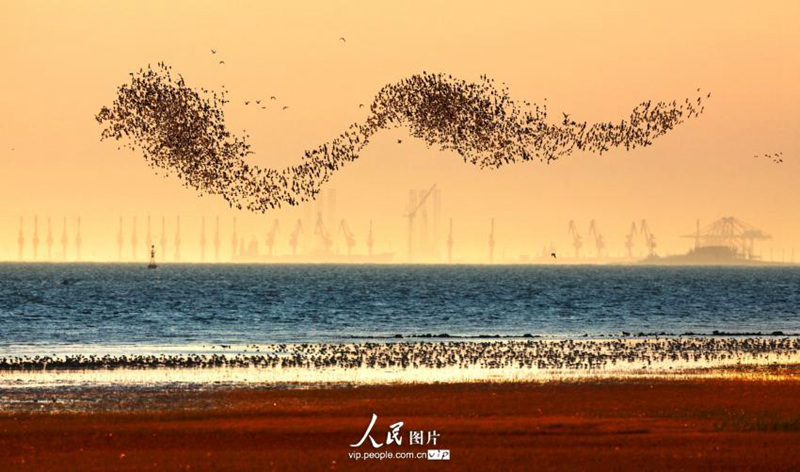 ?? ??? ???? ???? ??? ???? ??