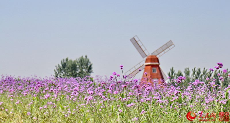 ??(洛陽(yáng))? ??? ?? ??- ???? ?? ???