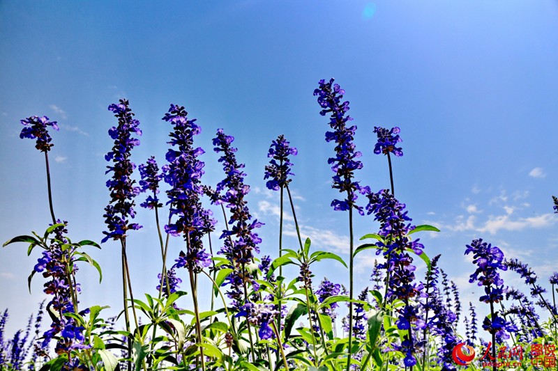 ??(洛陽(yáng))? ??? ?? ??- ???? ?? ???