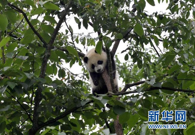 ???? ?? ‘?? ???’? ?? ????