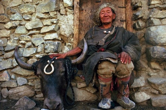 ???? ????? ??, ??? ?? ??