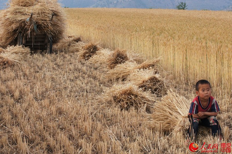 ????? ??? ??, ????? ‘???(麥客)’