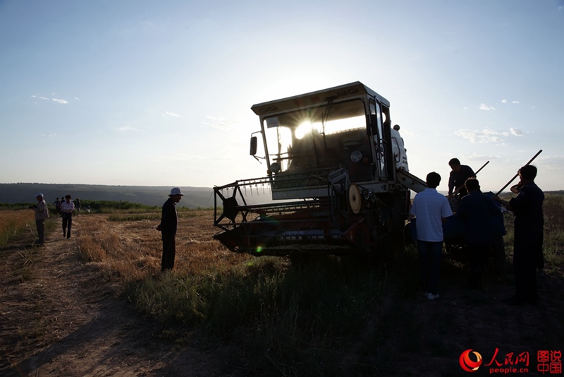 ????? ??? ??, ????? ‘???(麥客)’