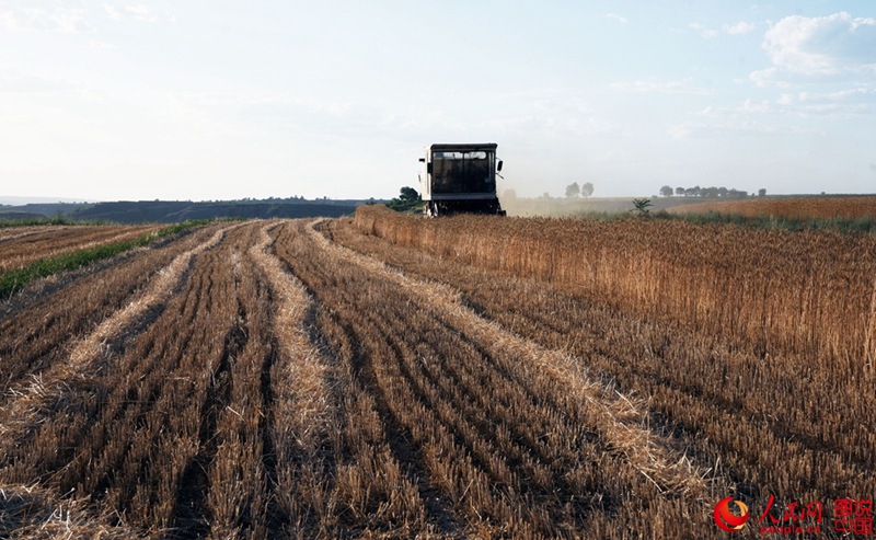 ????? ??? ??, ????? ‘???(麥客)’