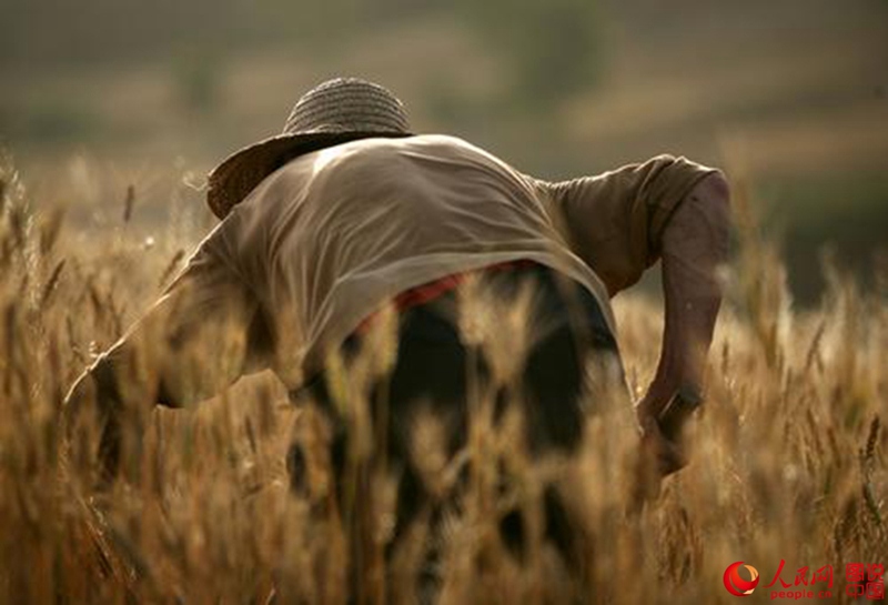 ????? ??? ??, ????? ‘???(麥客)’