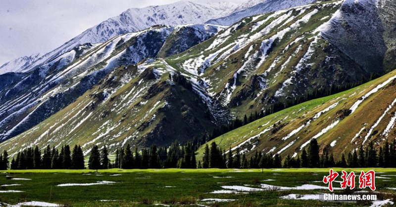 ??? ??? ???? ?? ???(唐布拉)???