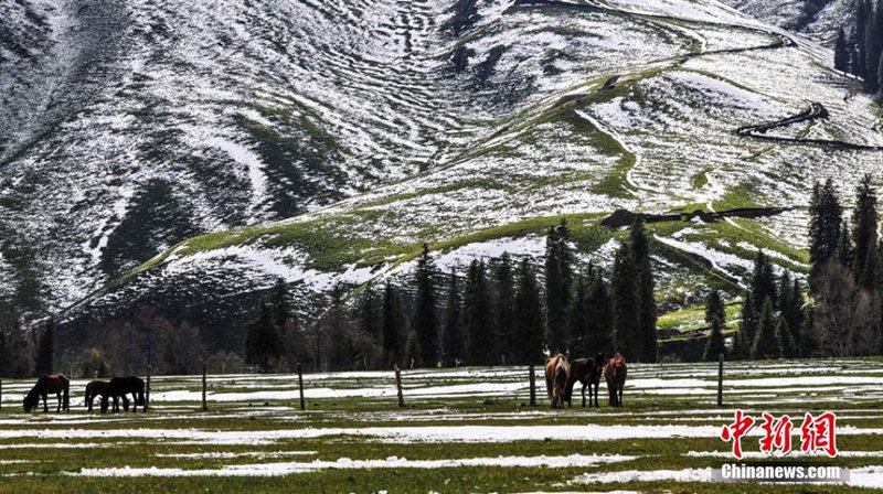 ??? ??? ???? ?? ???(唐布拉)???