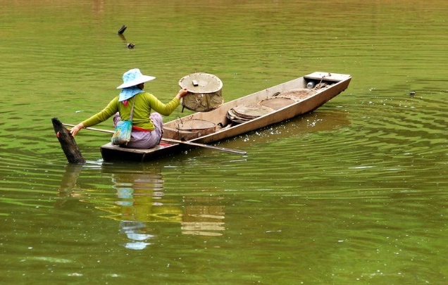 ????(西雙版納)? ?? ???? '??(曼旦)?'