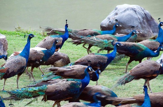 ??????? ??? ?? TOP5(???? ??? ??)