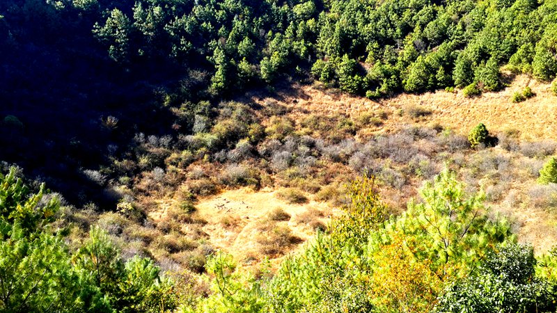 ??(騰沖)? ?? ?? ?? '???(火山群)????'