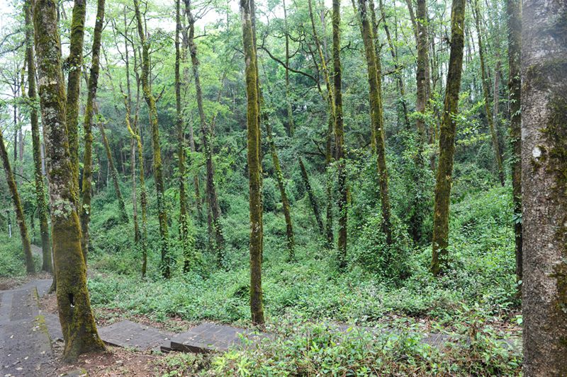 ??(騰沖)? ?? ?? ?? '????(來(lái)鳳山)??????' 