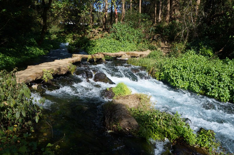 ??(騰沖)? ?? ?? ?? '????(黑魚河)'