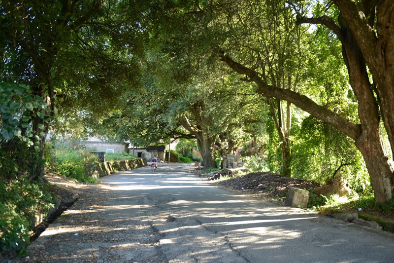 ??(騰沖)? ?? ?? ?? '??(綺羅) ???'