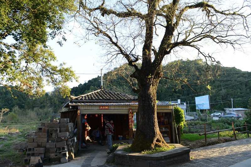 ??(騰沖)? ?? ?? ?? '??(綺羅) ???'