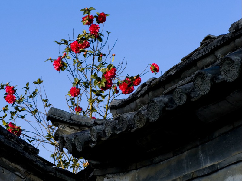 ??(騰沖) ??? ????? '??(和順)?? ????'