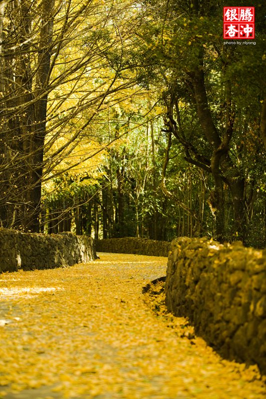 ??(騰沖) ??? ????? '?? ??? ?? ???'