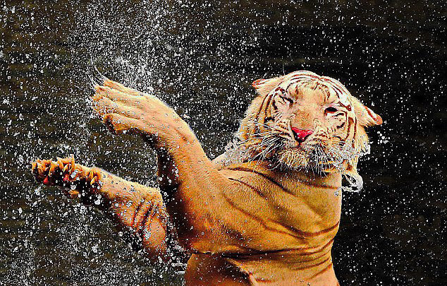 ????? ??? ???? ??? ??? ??? ??