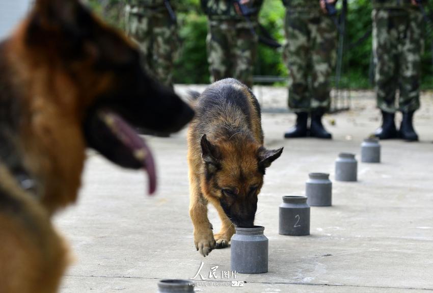 ????? ?? ?????? ?? ?? ??? ??