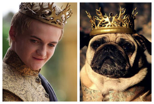 ???? ?? ??? ? ????? ?? ??