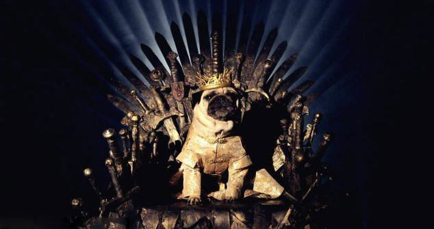 ???? ?? ??? ? ????? ?? ??