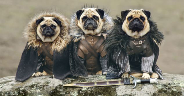 ???? ?? ??? ? ????? ?? ??