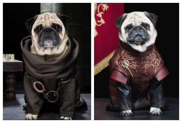 ???? ?? ??? ? ????? ?? ??