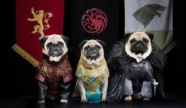 ???? ?? ??? ? ????? ?? ??