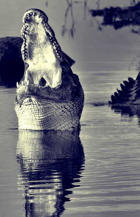 ??? ??? ???? “?? ??????”