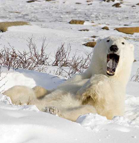 ??? ??? ???? “?? ??????”