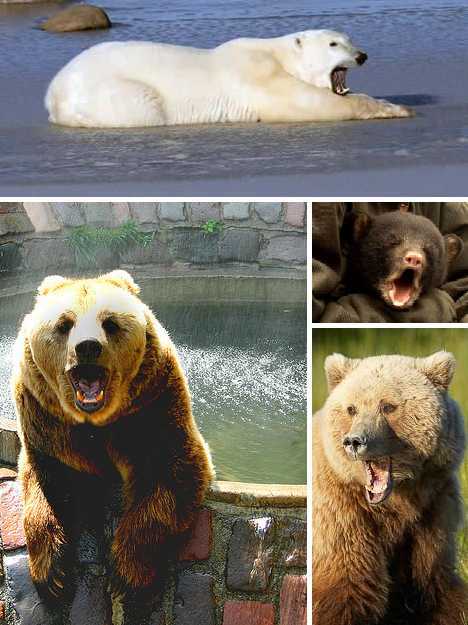 ??? ??? ???? “?? ??????”