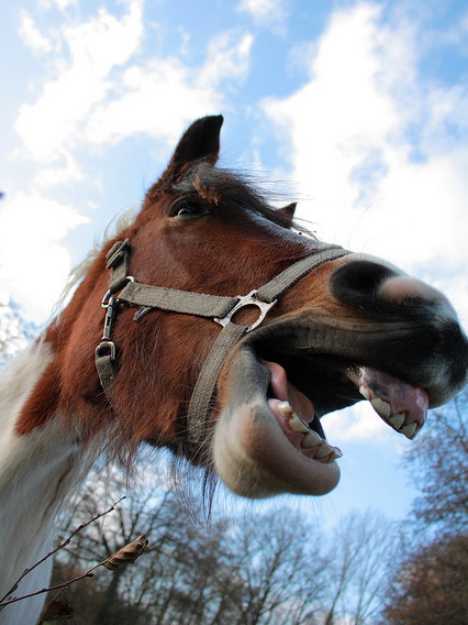 ??? ??? ???? “?? ??????”