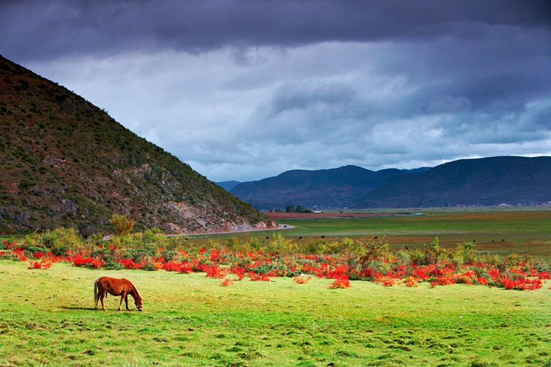 ???? ??? ????? ‘???(普達措)?????? ??’