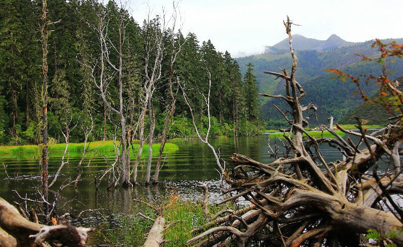 ???? ??? ????? ‘???(普達(dá)措)?????? ??’