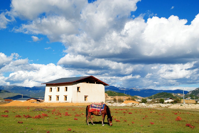 ????? ?? ???? ???, ????(納帕海)