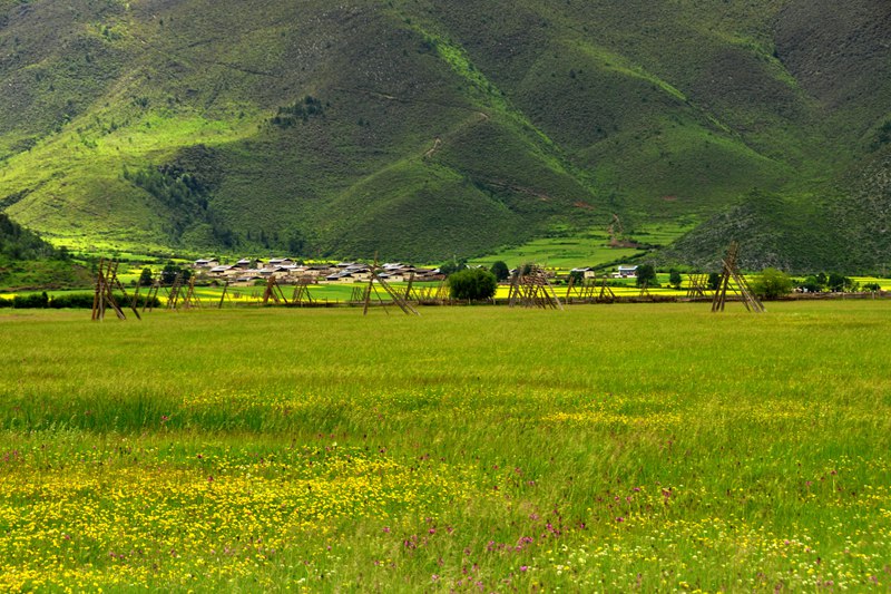 ????? ?? ???? ???, ????(納帕海)