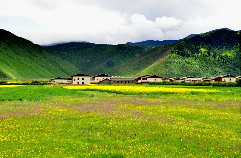 ????? ?? ???? ???, ????(納帕海)