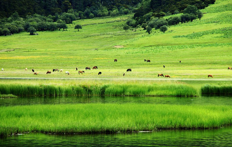 ????? ?? ???? ???,???(普達(dá)措)??????