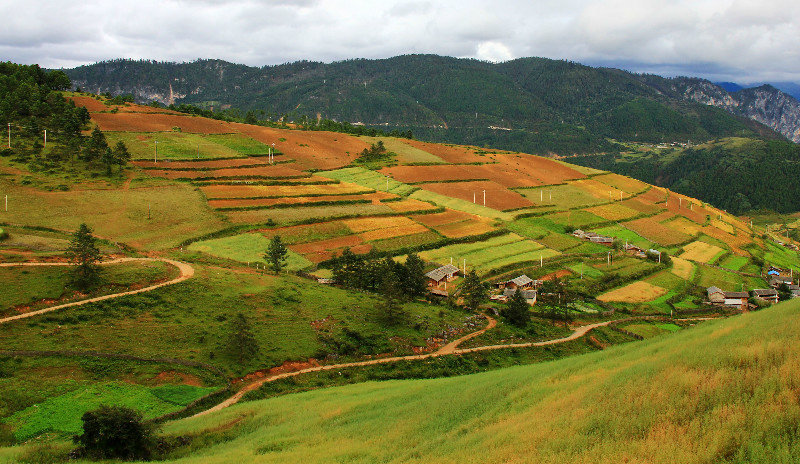 ????? ?? ???? ???,???? ???(香格裡拉大峽谷)