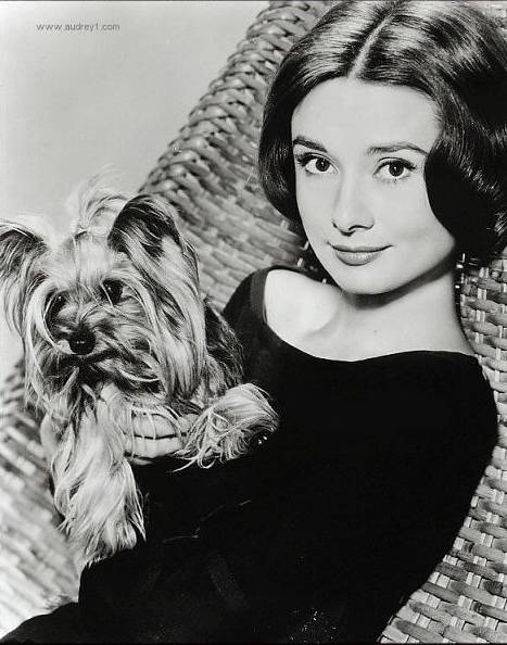 ?? ???? 50? ??…??? 7?, ??? 17?