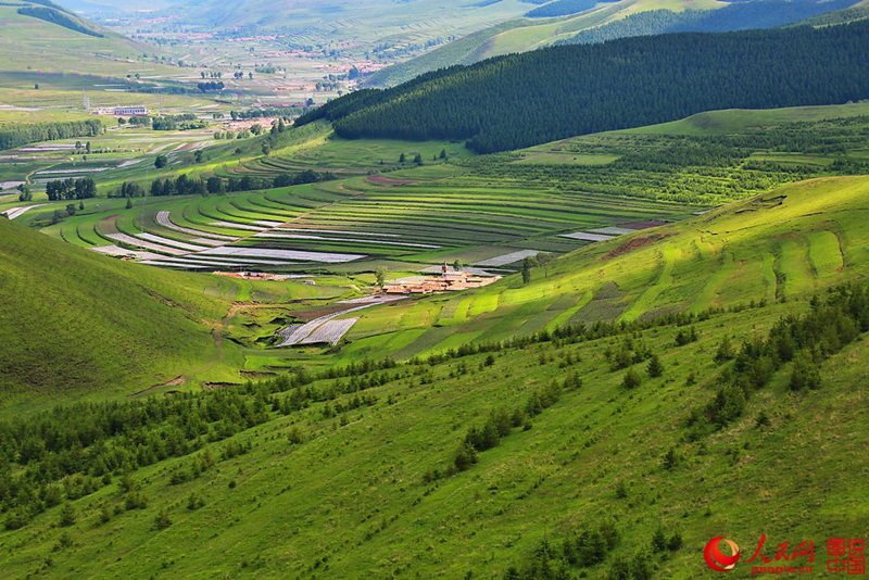 ???? ‘??’? ???…?? ???? ??