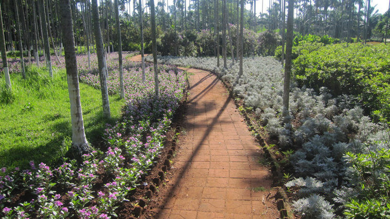 ????(?？?? ?? 10? ??? ‘???(金牛嶺)??’