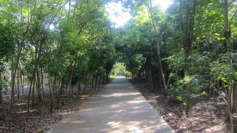 ????(?？?? ?? 10? ??? ‘???(金牛嶺)??’