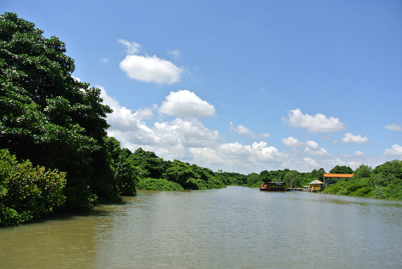 ????(?？?? ?? 10? ??? ‘????(東寨港) ????’