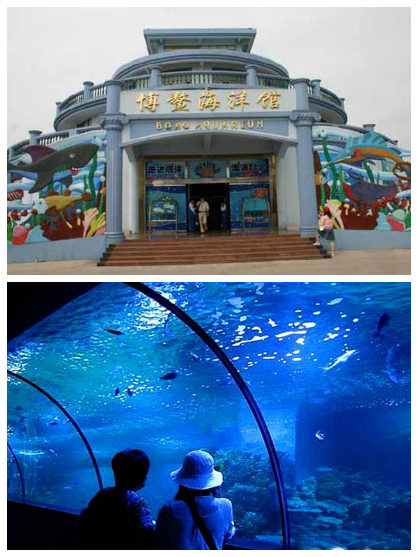 ???(瓊海)? 6? ????